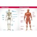 El cuerpo humano: libro educativo 23x31 cm, 32 páginas, a todo color